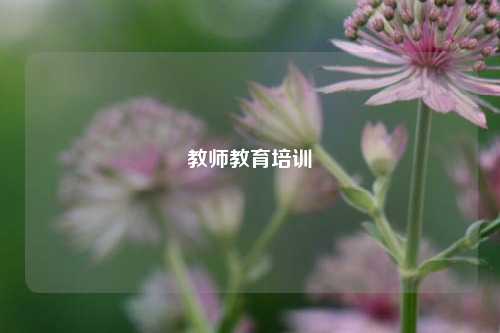 教师教育培训