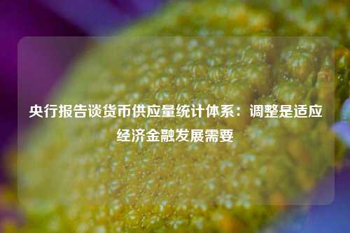 央行报告谈货币供应量统计体系：调整是适应经济金融发展需要