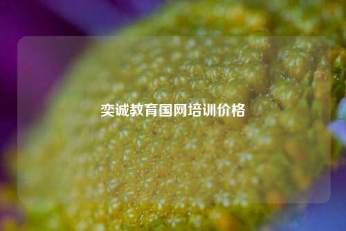 奕诚教育国网培训价格