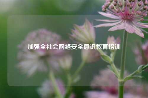 加强全社会网络安全意识教育培训