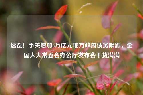 速览！事关增加6万亿元地方政府债务限额，全国人大常委会办公厅发布会干货满满