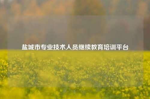 盐城市专业技术人员继续教育培训平台