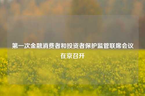 第一次金融消费者和投资者保护监管联席会议在京召开