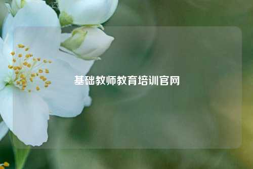 基础教师教育培训官网