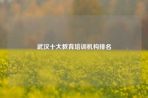 武汉十大教育培训机构排名