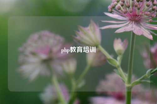 php教育培训