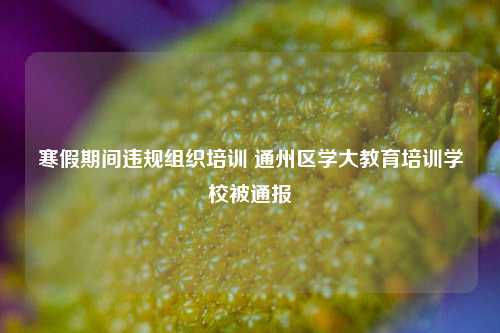 寒假期间违规组织培训 通州区学大教育培训学校被通报