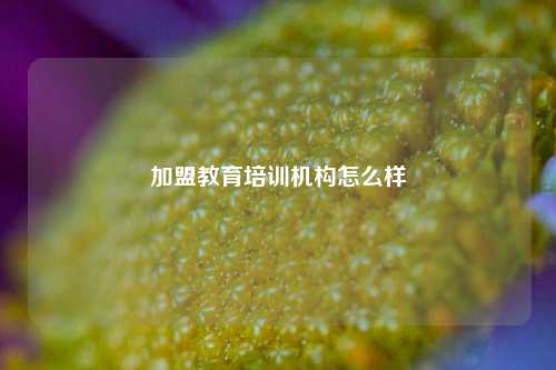 加盟教育培训机构怎么样