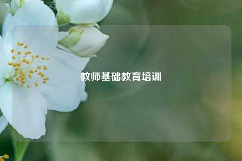 教师基础教育培训