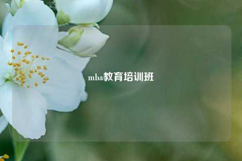 mba教育培训班