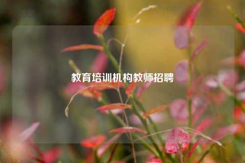 教育培训机构教师招聘