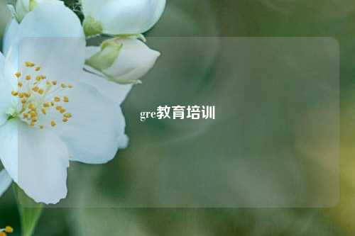 gre教育培训