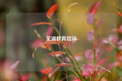 芜湖教育培训