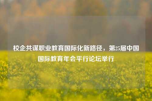 校企共谋职业教育国际化新路径，第25届中国国际教育年会平行论坛举行