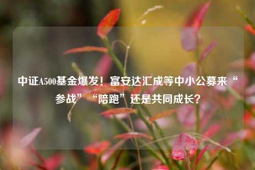 中证A500基金爆发！富安达汇成等中小公募来“参战”“陪跑”还是共同成长？