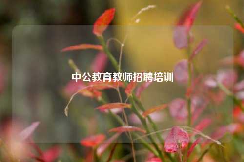 中公教育教师招聘培训