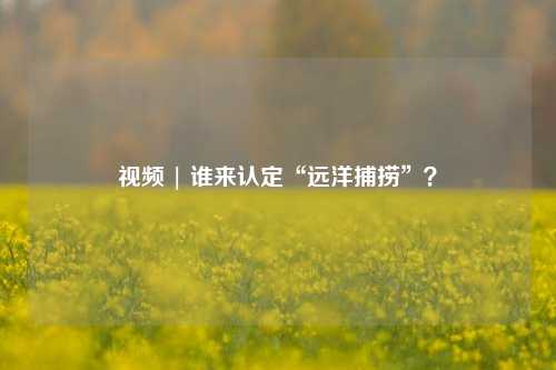 视频 | 谁来认定“远洋捕捞”？