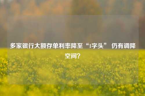 多家银行大额存单利率降至“1字头” 仍有调降空间？