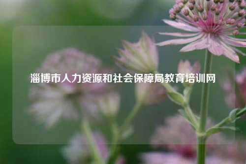 淄博市人力资源和社会保障局教育培训网