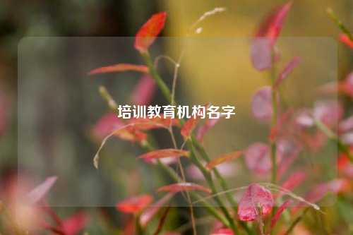 培训教育机构名字