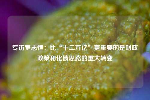 专访罗志恒：比“十二万亿”更重要的是财政政策和化债思路的重大转变