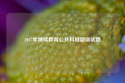 2017年继续教育公共科目培训试题