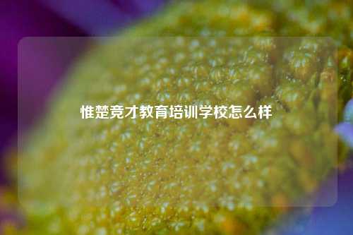 惟楚竞才教育培训学校怎么样