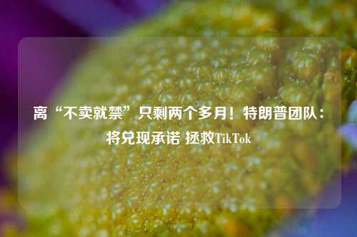 离“不卖就禁”只剩两个多月！特朗普团队：将兑现承诺 拯救TikTok