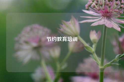 节约教育培训