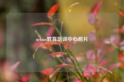 urhun教育培训中心照片