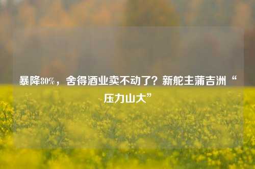 暴降80%，舍得酒业卖不动了？新舵主蒲吉洲“压力山大”