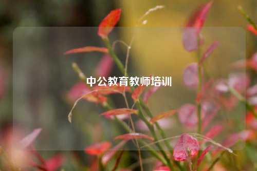 中公教育教师培训