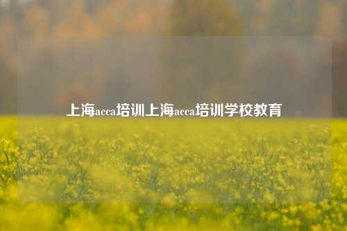 上海acca培训上海acca培训学校教育