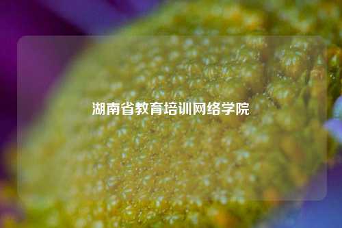 湖南省教育培训网络学院