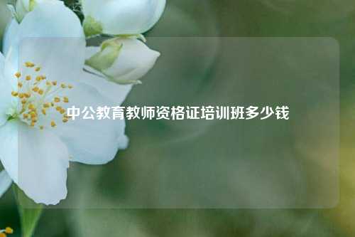 中公教育教师资格证培训班多少钱