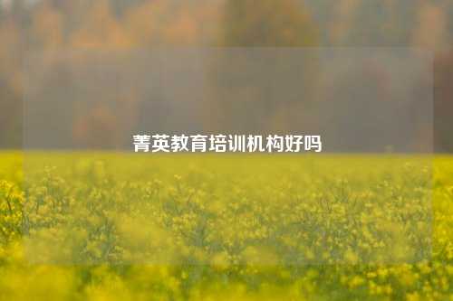 菁英教育培训机构好吗