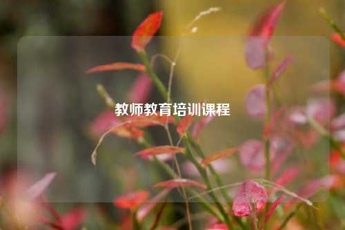 教师教育培训课程