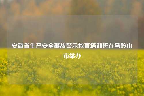 安徽省生产安全事故警示教育培训班在马鞍山市举办