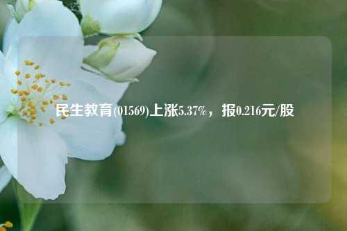 民生教育(01569)上涨5.37%，报0.216元/股