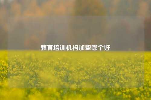 教育培训机构加盟哪个好