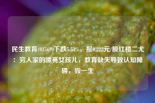 民生教育(01569)下跌5.53%，报0.222元/股红楼二尤：穷人家的漂亮女孩儿，教育缺失导致认知障碍，毁一生