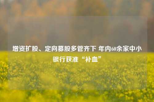 增资扩股、定向募股多管齐下 年内60余家中小银行获准“补血”