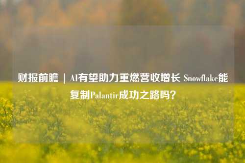 财报前瞻 | AI有望助力重燃营收增长 Snowflake能复制Palantir成功之路吗？