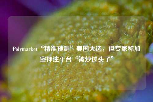 Polymarket“精准预测”美国大选，但专家称加密押注平台“被炒过头了”