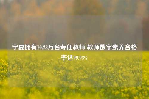 宁夏拥有10.23万名专任教师 教师数字素养合格率达99.93%