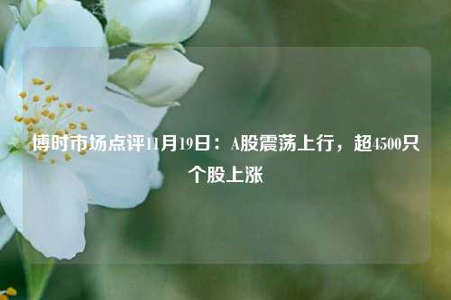 博时市场点评11月19日：A股震荡上行，超4500只个股上涨