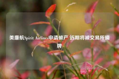 美廉航Spirit Airlines申请破产 近期将被交易所摘牌