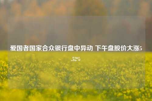 爱国者国家合众银行盘中异动 下午盘股价大涨5.52%