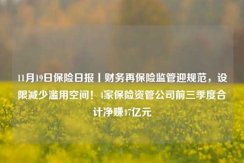 11月19日保险日报丨财务再保险监管迎规范，设限减少滥用空间！4家保险资管公司前三季度合计净赚47亿元