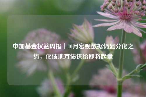 中加基金权益周报︱10月宏观数据仍显分化之势，化债地方债供给即将起量